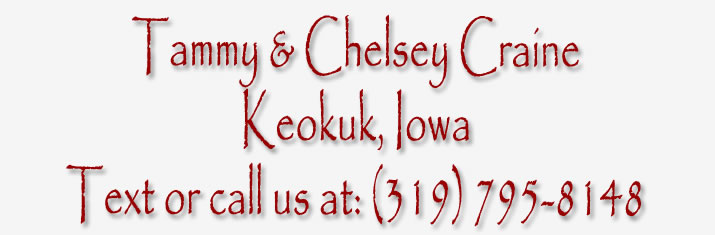 Tammy and Chelsey Mickelson (Craine) Keokuk, Iowa. Redside Nigerian Dwarf goats, Goats for sale in Iowa, Nigerian Dwarf goats for sale in illinois, dairy goats for sale in missouri