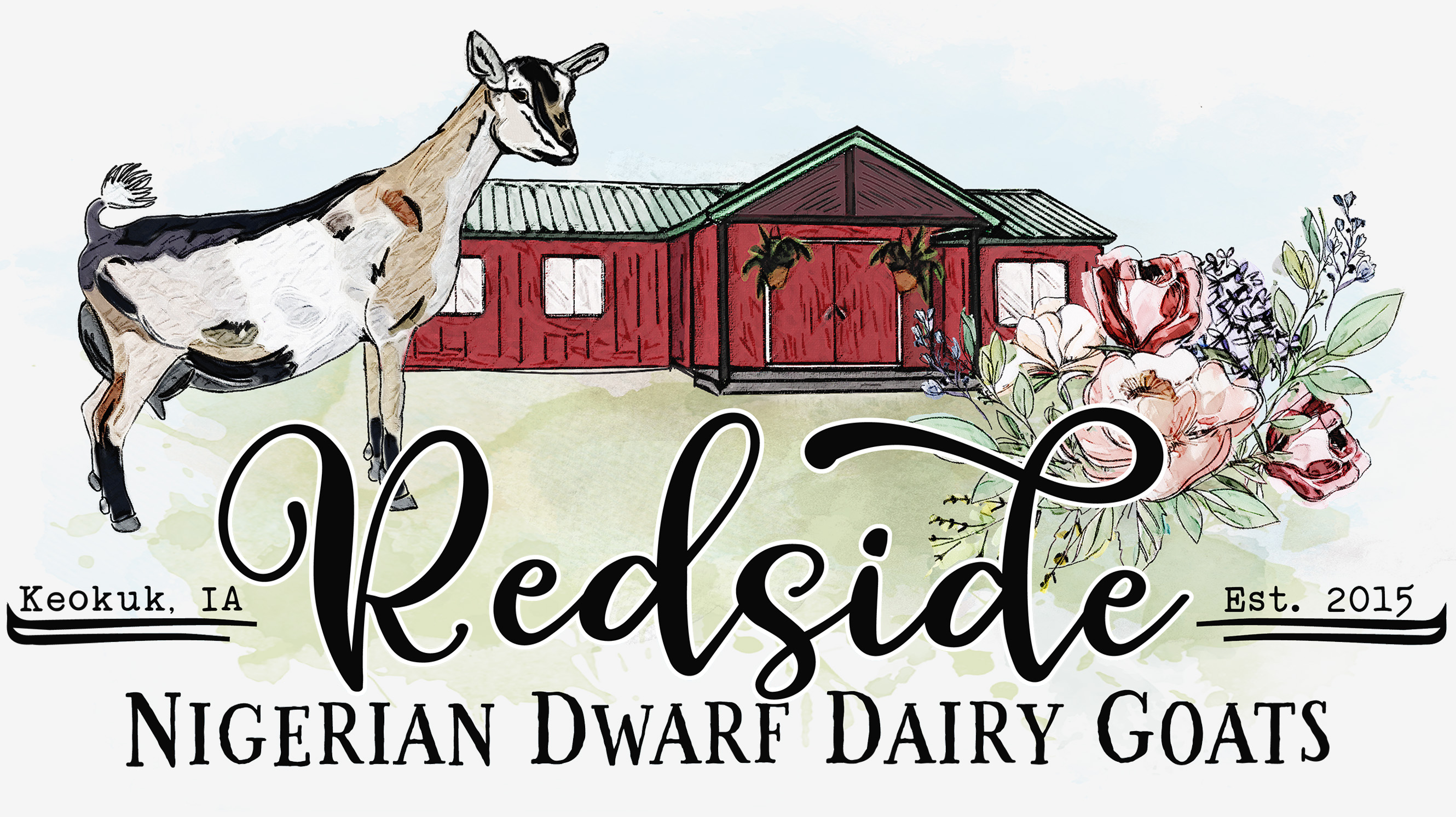 Redside Nigerian Dwarf Dairy Goats for sale,  Keokuk, Iowa